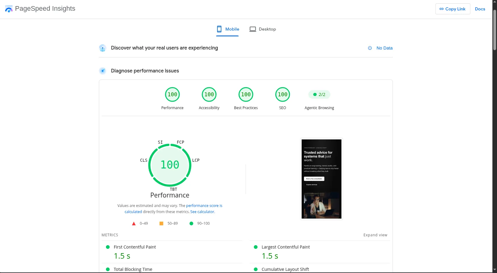 Google PageSpeed Insights mobile report for the Dygyx-hosted demo site